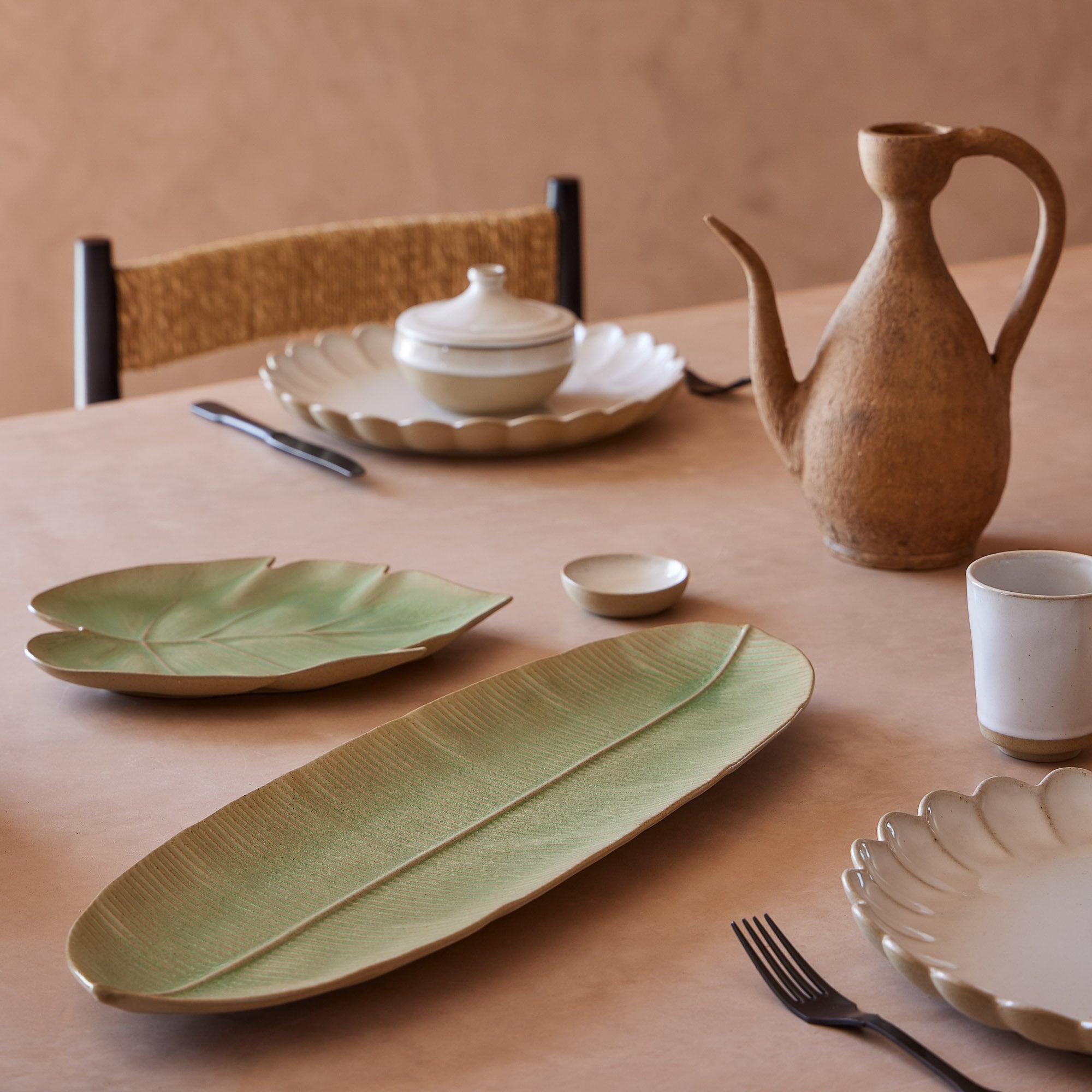 Dish