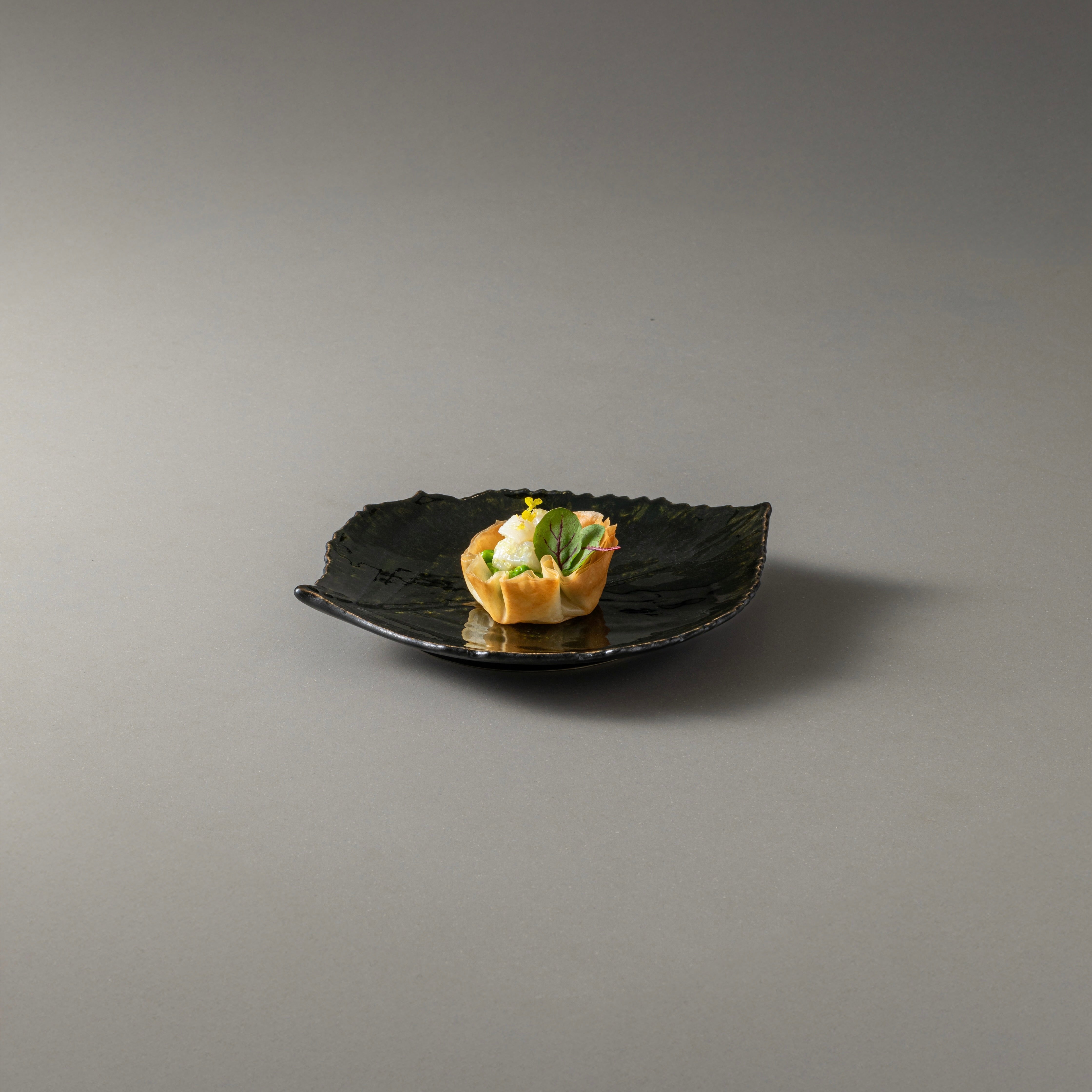 Dish