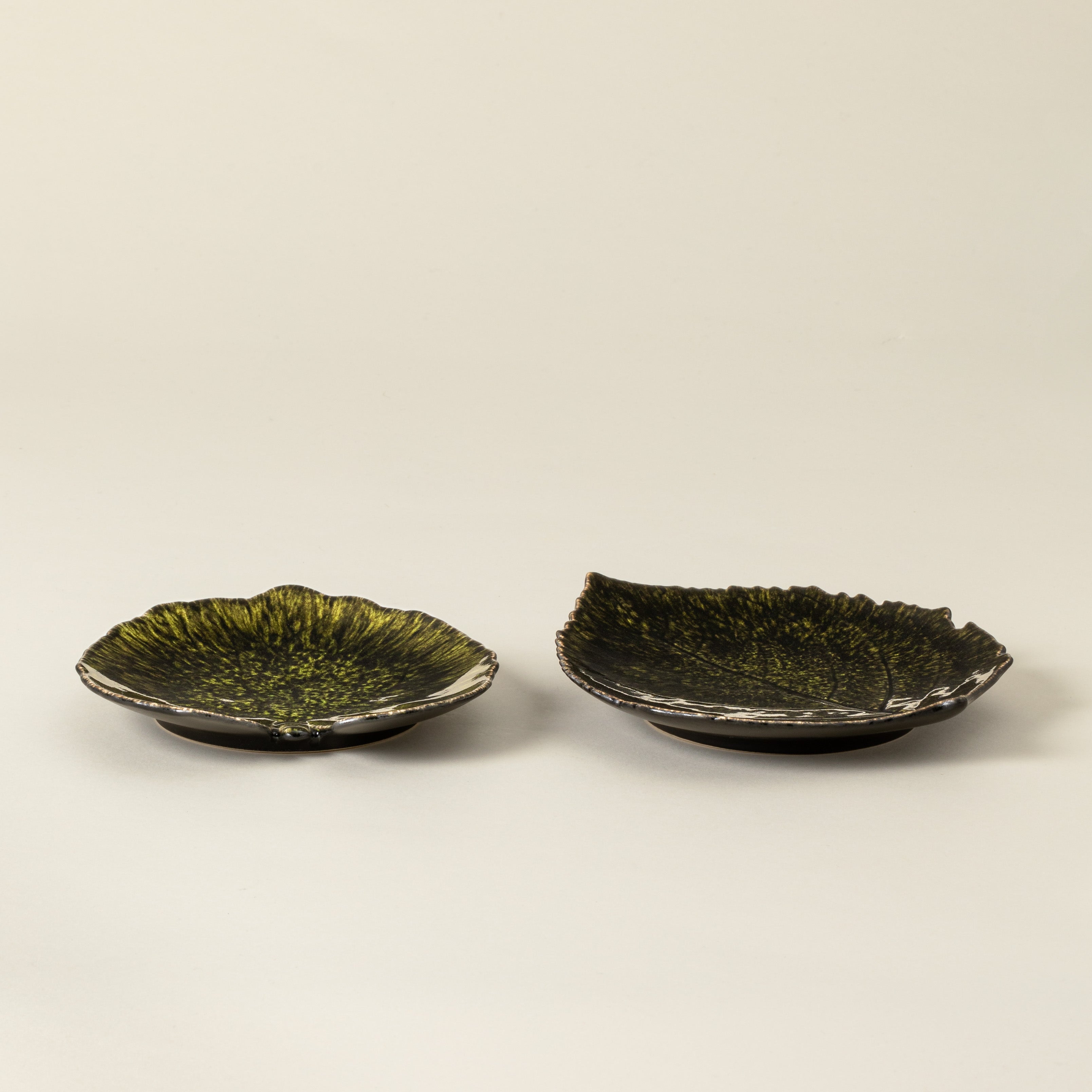 Dish