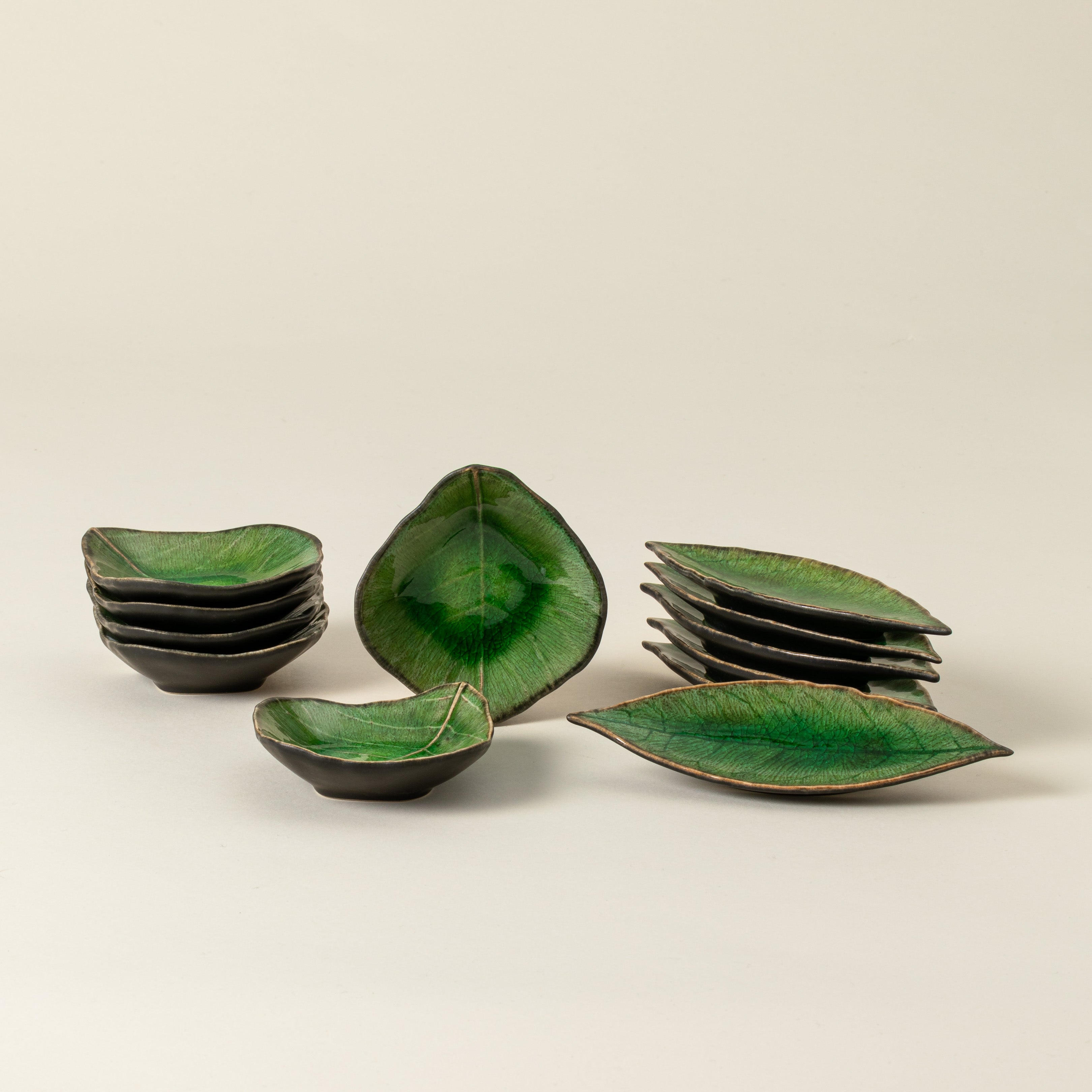 Dish