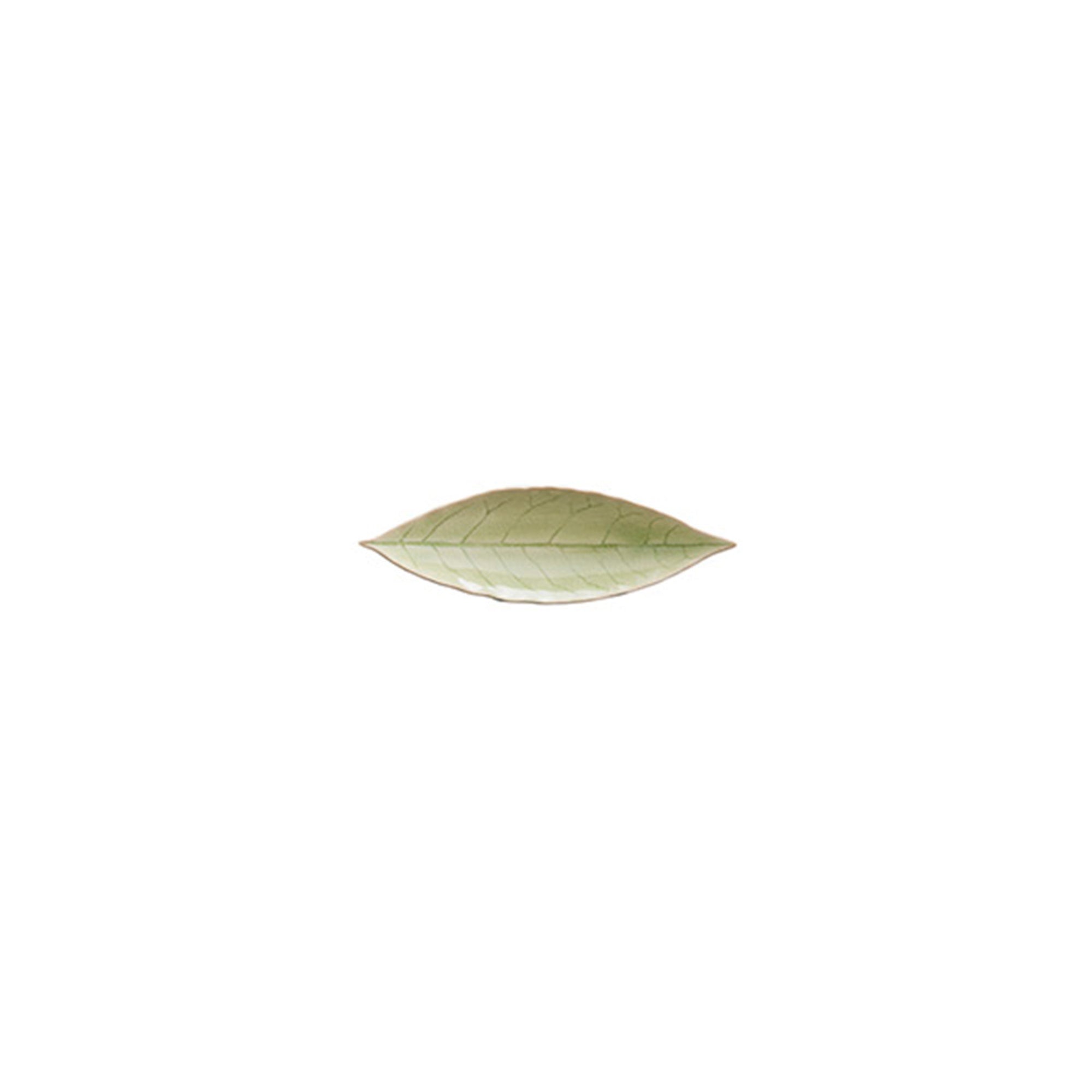 Dish
