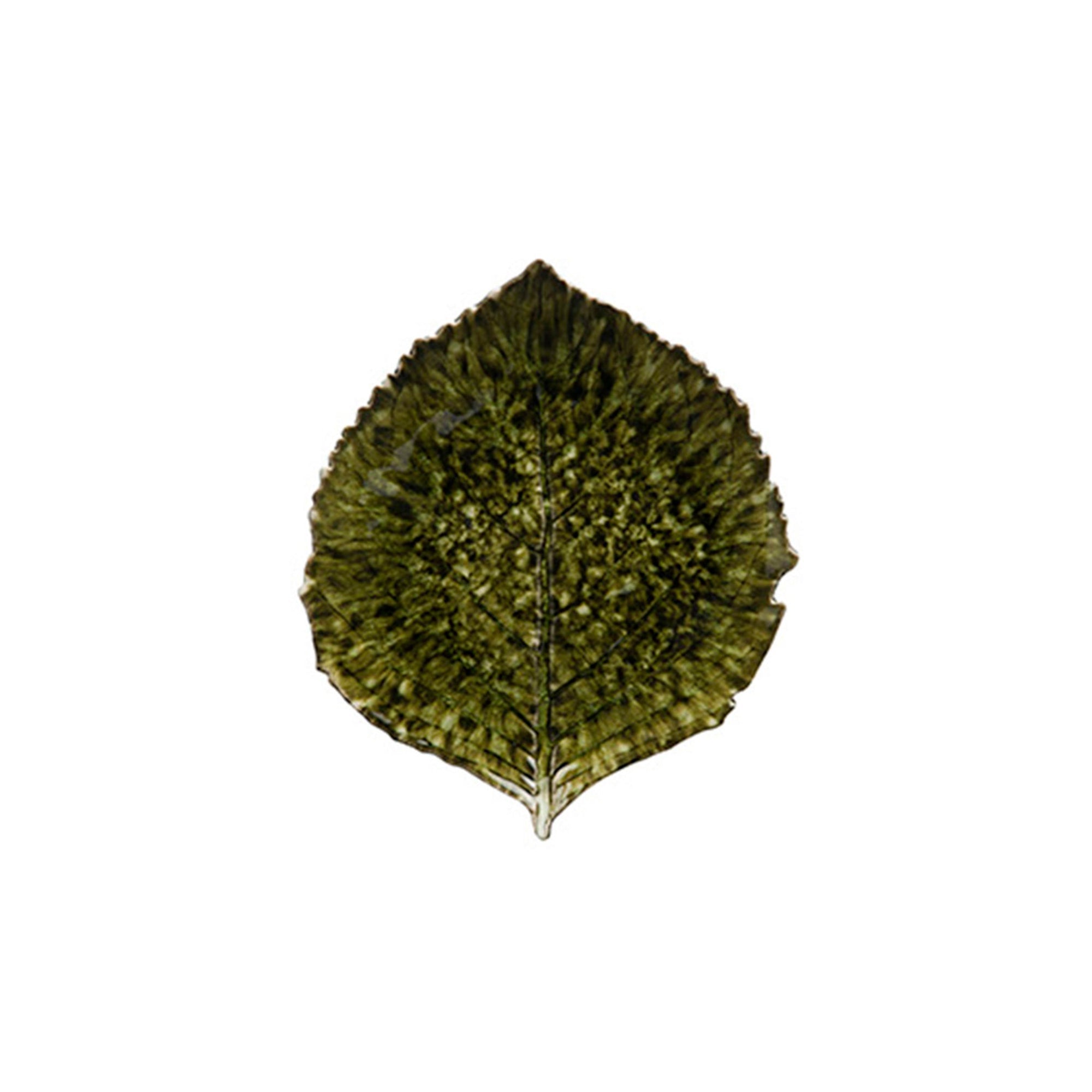 Dish