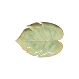 Dish