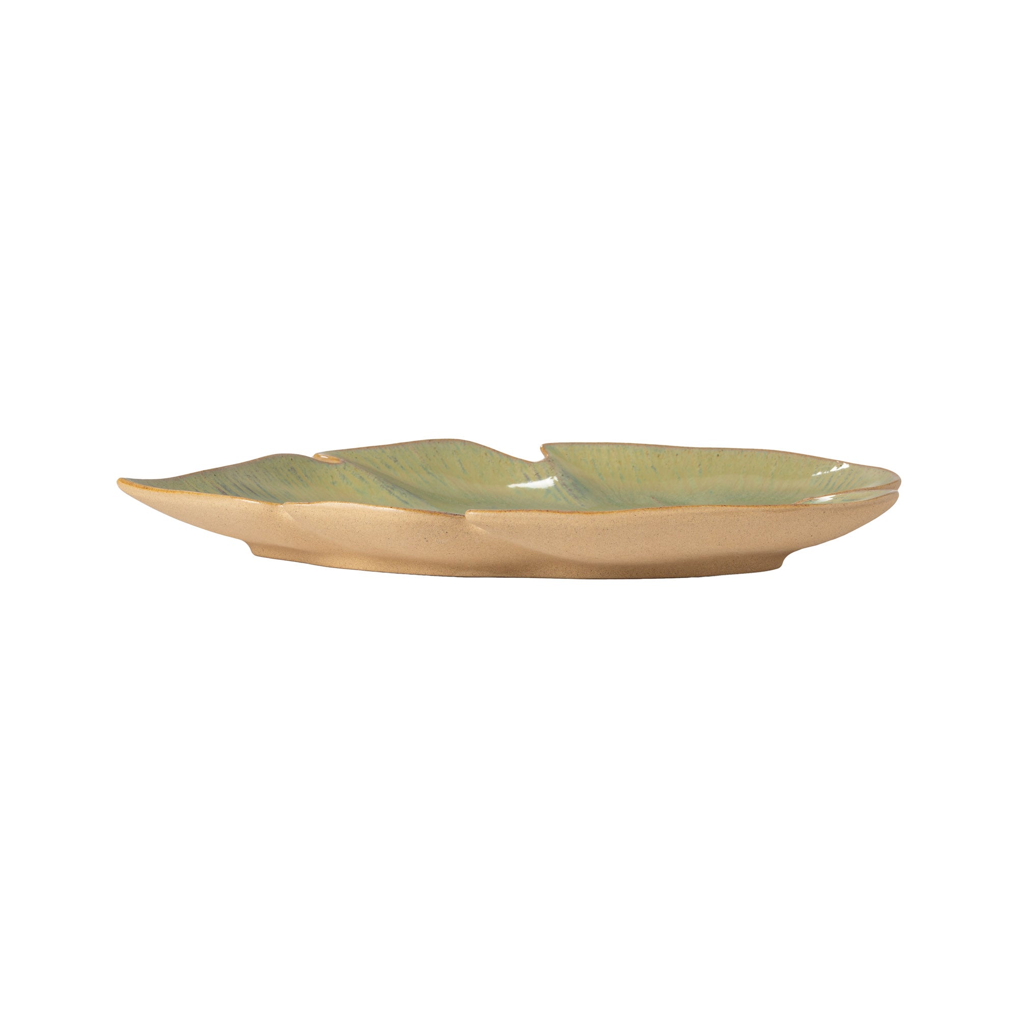 Dish