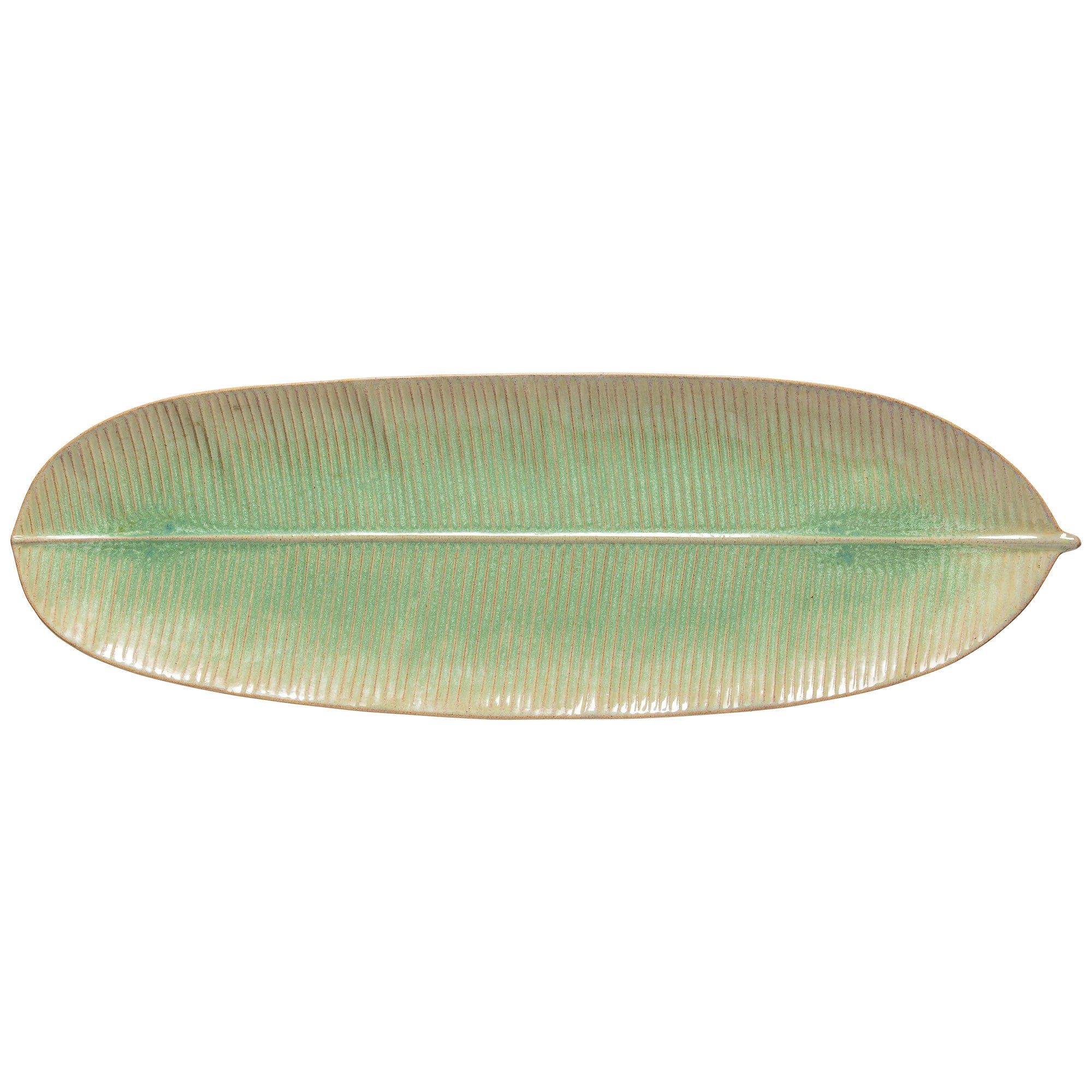 Dish