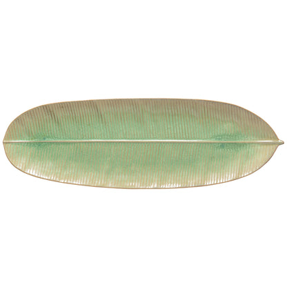 Dish