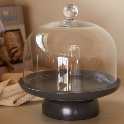 Dish