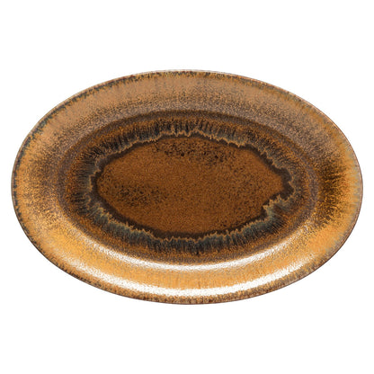 Dish