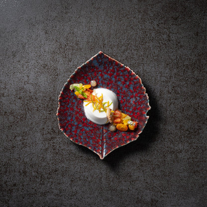 Dish