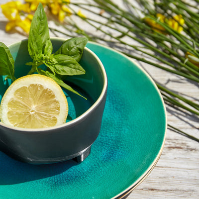 Costa Nova Riviera stoneware collection – footed fruit bowl