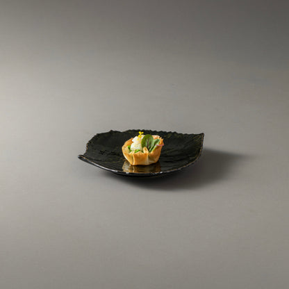 Dish