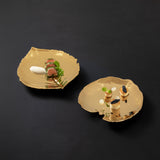 Dish