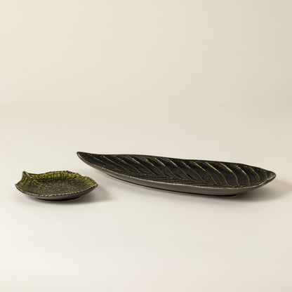 Dish
