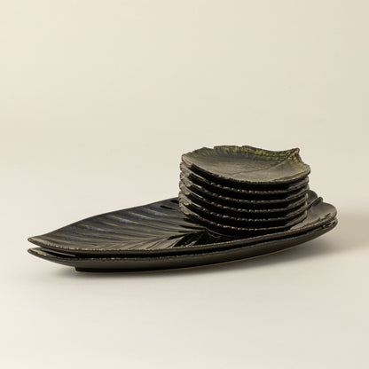 Dish