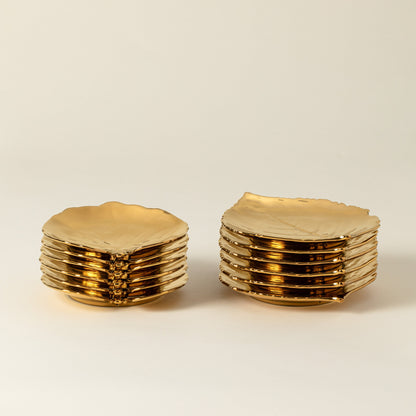 Dish