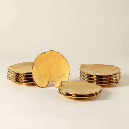 Dish