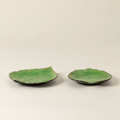 Dish