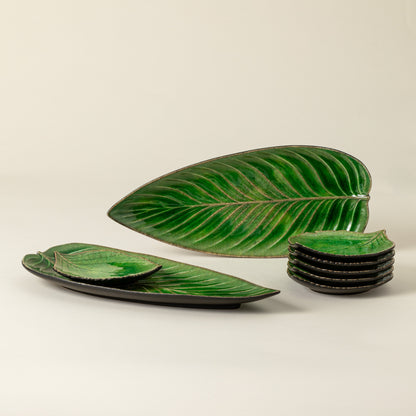 Dish