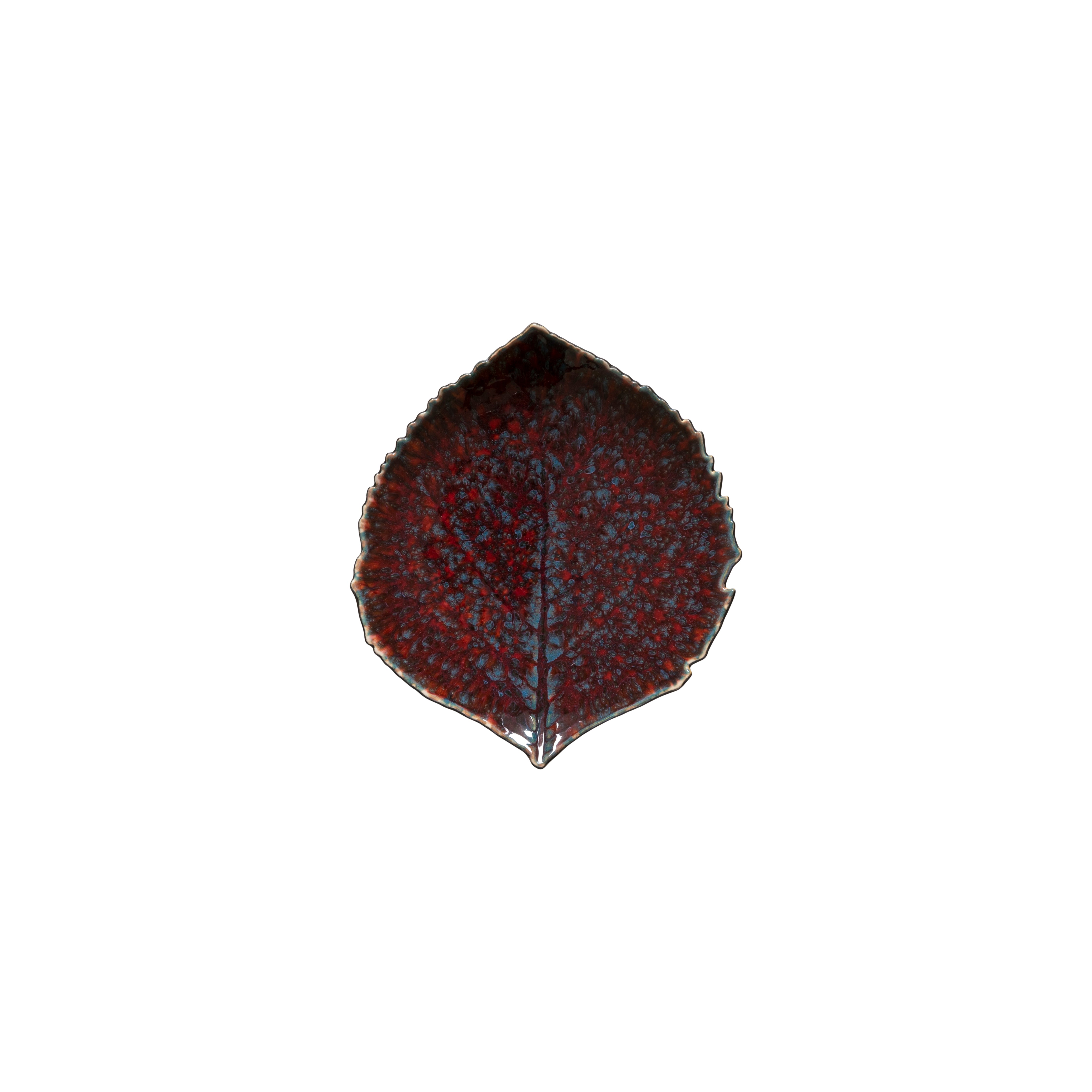 Dish