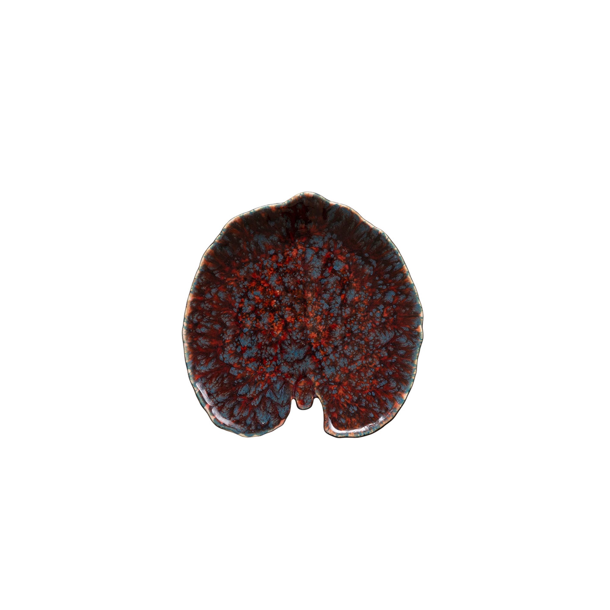 Dish