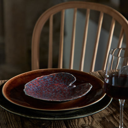 Dish