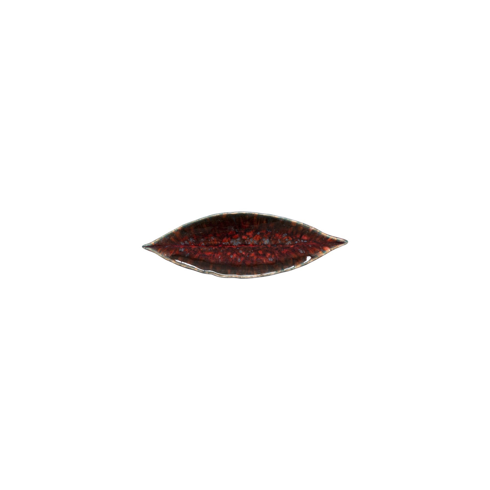 Dish