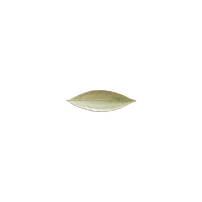 Costa Nova Riviera laurel leaf plate 18 cm in Vert Frais green stoneware