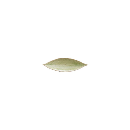 Dish