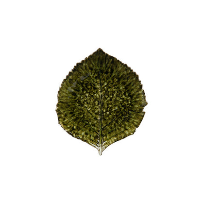 Dish